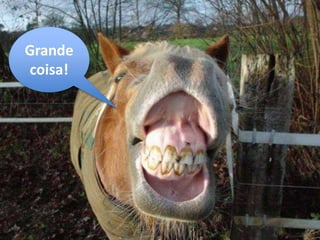 Grande
coisa!
 