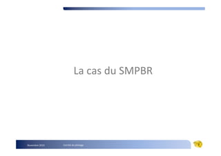 La cas du SMPBR




Novembre 2010   Comité de pilotage         2
 