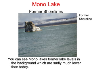 Mono Lake
            Former Shorelines
                                          Former
                                          Shoreline




You can see Mono lakes former lake levels in
  the background which are sadly much lower
  than today.
 