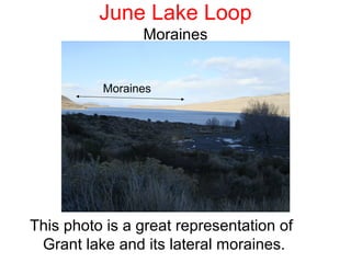 June Lake Loop
                Moraines


          Moraines




This photo is a great representation of
 Grant lake and its lateral moraines.
 