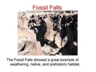 Fossil Falls




The Fossil Falls showed a great example of
  weathering, native, and prehistoric habitat.
 