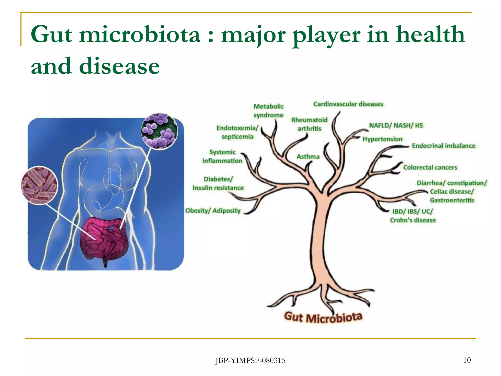 Gut microbiota : major player in health
and disease
JBP-YIMPSF-080315 10
 