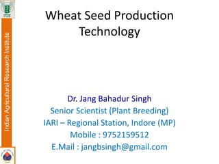 Wheat Seed Production
Technology
Dr. Jang Bahadur Singh
Senior Scientist (Plant Breeding)
IARI – Regional Station, Indore (MP)
Mobile : 9752159512
E.Mail : jangbsingh@gmail.com
IndianAgriculturalResearchInstitute
 