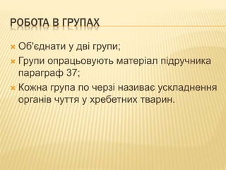 РОБОТА В ГРУПАХ
 Об'єднати у дві групи;
 Групи опрацьовують матеріал підручника
параграф 37;
 Кожна група по черзі називає ускладнення
органів чуття у хребетних тварин.
 