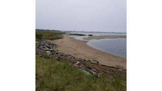 Jamaica Bay Wildlife refuge west pond proposal for protecting the south shore that is eroding thru a wetland soft edge