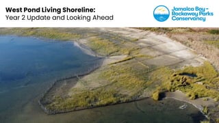 West Pond Living Shoreline:
Year 2 Update and Looking Ahead
 
