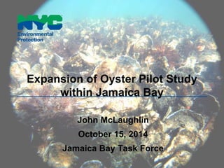 Expansion of Oyster Pilot Study 
within Jamaica Bay 
John McLaughlin 
October 15, 2014 
Jamaica Bay Task Force 
 