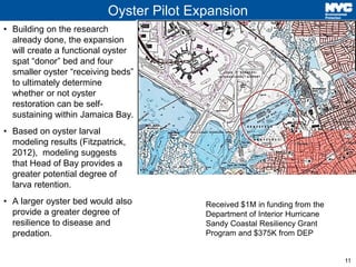 11 
Oyster Pilot Expansion 
• Building on the research 
already done, the expansion 
will create a functional oyster 
spat...
