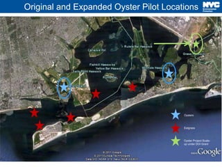 Original and Expanded Oyster Pilot Locations 
3 
Oysters 
Eelgrass 
Oyster Project Scale-up 
under DOI Grant 
 