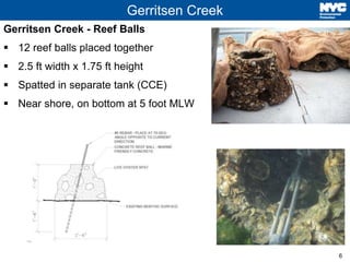6 
Gerritsen Creek 
Gerritsen Creek - Reef Balls 
 12 reef balls placed together 
 2.5 ft width x 1.75 ft height 
 Spat...
