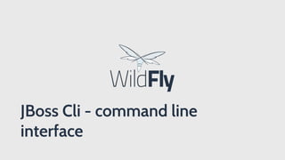 JBoss Cli - command line
interface
 
