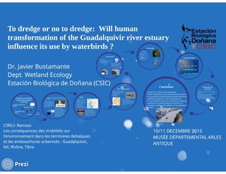J. Bustamante, To dredge or not to dredge