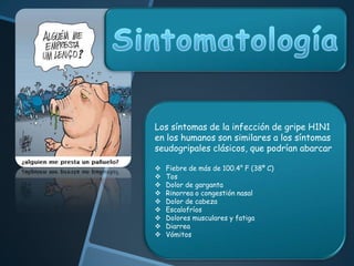SintomatologíaLos síntomas de la infección de gripe H1N1 en los humanos son similares a los síntomas seudogripales clásicos, que podrían abarcarFiebre de más de 100.4° F (38º C)