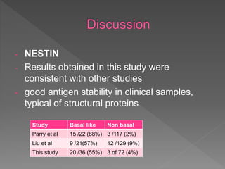 - NESTIN
- Results obtained in this study were
consistent with other studies
- good antigen stability in clinical samples,
typical of structural proteins
Study Basal like Non basal
Parry et al 15 /22 (68%) 3 /117 (2%)
Liu et al 9 /21(57%) 12 /129 (9%)
This study 20 /36 (55%) 3 of 72 (4%)
 