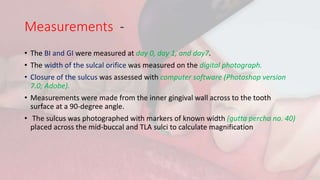 Measurements -
• The BI and GI were measured at day 0, day 1, and day7.
• The width of the sulcal orifice was measured on the digital photograph.
• Closure of the sulcus was assessed with computer software (Photoshop version
7.0; Adobe).
• Measurements were made from the inner gingival wall across to the tooth
surface at a 90-degree angle.
• The sulcus was photographed with markers of known width (gutta percha no. 40)
placed across the mid-buccal and TLA sulci to calculate magnification
 