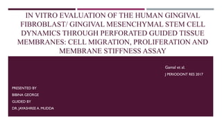 IN VITRO EVALUATION OF THE HUMAN GINGIVAL
FIBROBLAST/ GINGIVAL MESENCHYMAL STEM CELL
DYNAMICS THROUGH PERFORATED GUIDED TISSUE
MEMBRANES: CELL MIGRATION, PROLIFERATION AND
MEMBRANE STIFFNESS ASSAY
PRESENTED BY
BIBINA GEORGE
GUIDED BY
DR. JAYASHREE A. MUDDA
Gamal et al.
J PERIODONT RES 2017
 