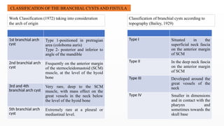 journal culb 1 embryology of head and neck.pptx