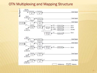 OTN Multiplexing and Mapping Structure
18
 