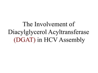 The Involvement of
Diacylglycerol Acyltransferase
(DGAT) in HCV Assembly
 