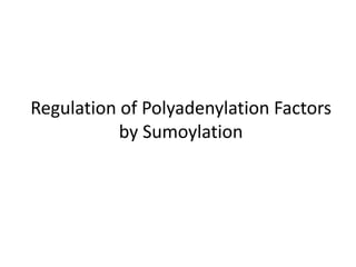 Regulation of Polyadenylation Factors
by Sumoylation
 