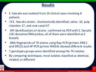 © Ramaiah University of Applied Sciences
12
Faculty of Dental Sciences
using SPSS for Windows
Results
• E. faecalis was isolated from 10 clinical cases involving 8
patients
• 74 E. faecalis strains - biochemically identified; saliva -10, pulp
chamber-17, and root canal-47
• API identifications of strains- confirmed via PCR with E. faecalis
16S ribosomal RNA probes, all of them were identified as E
faecalis
• DNA fingerprints of 74 strains using Rep-PCR (primers ERIC1
and ERIC2) and AP-PCR (primer RW3A) showed different results
• 7 genotypes groups were identified among the 74 isolates
• By comparing techniques, most isolates classified as identical,
related, or different
 