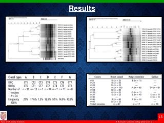 © Ramaiah University of Applied Sciences
13
Faculty of Dental Sciences
Results
 