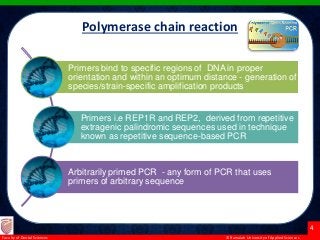 © Ramaiah University of Applied Sciences
4
Faculty of Dental Sciences
Polymerase chain reaction (PCR
Polymerase chain reaction
Primers bind to specific regions of DNA in proper
orientation and within an optimum distance - generation of
species/strain-specific amplification products
Primers i.e REP1R and REP2, derived from repetitive
extragenic palindromic sequences used in technique
known as repetitive sequence-based PCR
Arbitrarily primed PCR - any form of PCR that uses
primers of arbitrary sequence
 