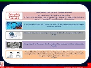 © Ramaiah University of Applied Sciences
5
Faculty of Dental Sciences
the goals of this study were
1. To identify and locate E. faecalis in each clinical case using in vivo
sampling protocols and culture techniques;
2. To analyze DNA fingerprints from the saliva, pulp chambers, and
root canals of endodontically treated teeth with apical periodontitis
using 2 molecular methods; and
3. To determine the diversity and similarity of genotypes present within
the oral cavity.
Persistent root canal infection – endodontic failure
Although unsatisfactory coronal restorations
are associated with lower rates of complete apical healing ,the biological aspects of
coronal microleakage have not been clearly investigated
It is critical to evaluate this species occurrence in the patient’s saliva and under the
restorative materials
Overall success rate of nonsurgical retreatment of teeth with apical periodontitis is
76.7%
Poor prognosis -difficulties in the elimination of the particular resistant microbiota(e.
Faecalis)
It would be of interest to know in vivo the pathways of the root canal reinfection,
starting from the saliva and then entering the internal surface of the pulp chamber
and spreading through the root-filled canal
system
 