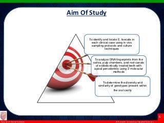 © Ramaiah University of Applied Sciences
6
Faculty of Dental Sciences
the goals of this study were
1. To identify and locate E. faecalis in each clinical case using in vivo
sampling protocols and culture techniques;
2. To analyze DNA fingerprints from the saliva, pulp chambers, and
root canals of endodontically treated teeth with apical periodontitis
using 2 molecular methods; and
3. To determine the diversity and similarity of genotypes present within
the oral cavity.
Aim Of Study
To identify and locate E. faecalis in
each clinical case using in vivo
sampling protocols and culture
techniques
To analyze DNA fingerprints from the
saliva, pulp chambers, and root canals
of endodontically treated teeth with
apical periodontitis using 2 molecular
methods
To determine the diversity and
similarity of genotypes present within
the oral cavity
 