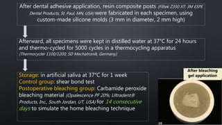 JOURNAL CLUB: Stability of Bonded Resin Composite Restorations to ...