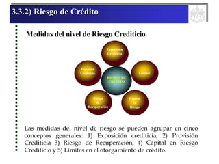3.3.2) Riesgo de Crédito
Medidas del nivel de Riesgo Crediticio
Exposición
Crediticia
Límites
Provisión
Crediticia
RIESGO DE
CRÉDITO
Riesgo
de
Recuperación
Capital
en
Riesgo
Exposición
Crediticia
Exposición
Crediticia
Límites
Límites
Provisión
Crediticia
Provisión
Crediticia
RIESGO DE
CRÉDITO
Riesgo
de
Recuperación
Riesgo
de
Recuperación
Capital
en
Riesgo
Capital
en
Riesgo
Las medidas del nivel de riesgo se pueden agrupar en cinco
conceptos generales: 1) Exposición crediticia, 2) Provisión
Crediticia 3) Riesgo de Recuperación, 4) Capital en Riesgo
Crediticio y 5) Límites en el otorgamiento de crédito.
 