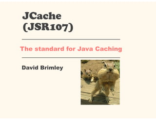 JCache
(JSR107)
David Brimley
The standard for Java Caching
 