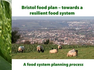 Bristol food plan – towards a
    resilient food system




A food system planning process
 
