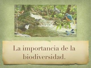 Importancia Biodiversidad JCarlos