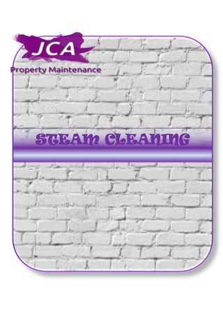 STEAM CLEANING
 