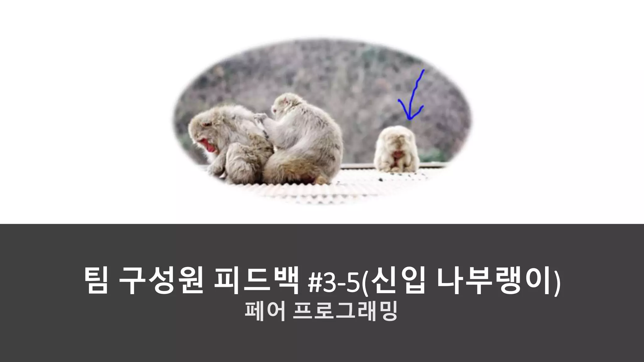 페어 프로그래밍
팀 구성원 피드백 #3-5(신입 나부랭이)
 