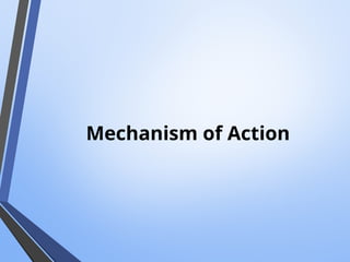 Mechanism of Action
 
