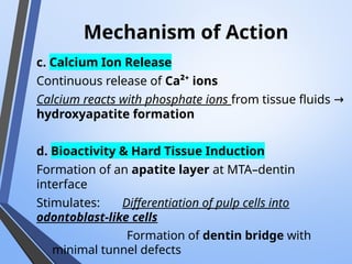 Mechanism of Action
c. Calcium Ion Release
Continuous release of Ca²⁺ ions
Calcium reacts with phosphate ions from tissue fluids →
hydroxyapatite formation
d. Bioactivity & Hard Tissue Induction
Formation of an apatite layer at MTA–dentin
interface
Stimulates: Differentiation of pulp cells into
odontoblast-like cells
Formation of dentin bridge with
minimal tunnel defects
 