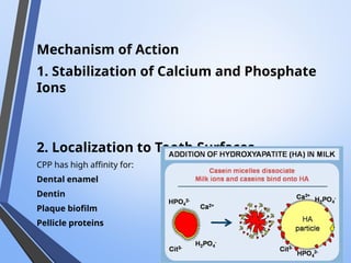 Mechanism of Action
1. Stabilization of Calcium and Phosphate
Ions
2. Localization to Tooth Surfaces
CPP has high affinity for:
Dental enamel
Dentin
Plaque biofilm
Pellicle proteins
 