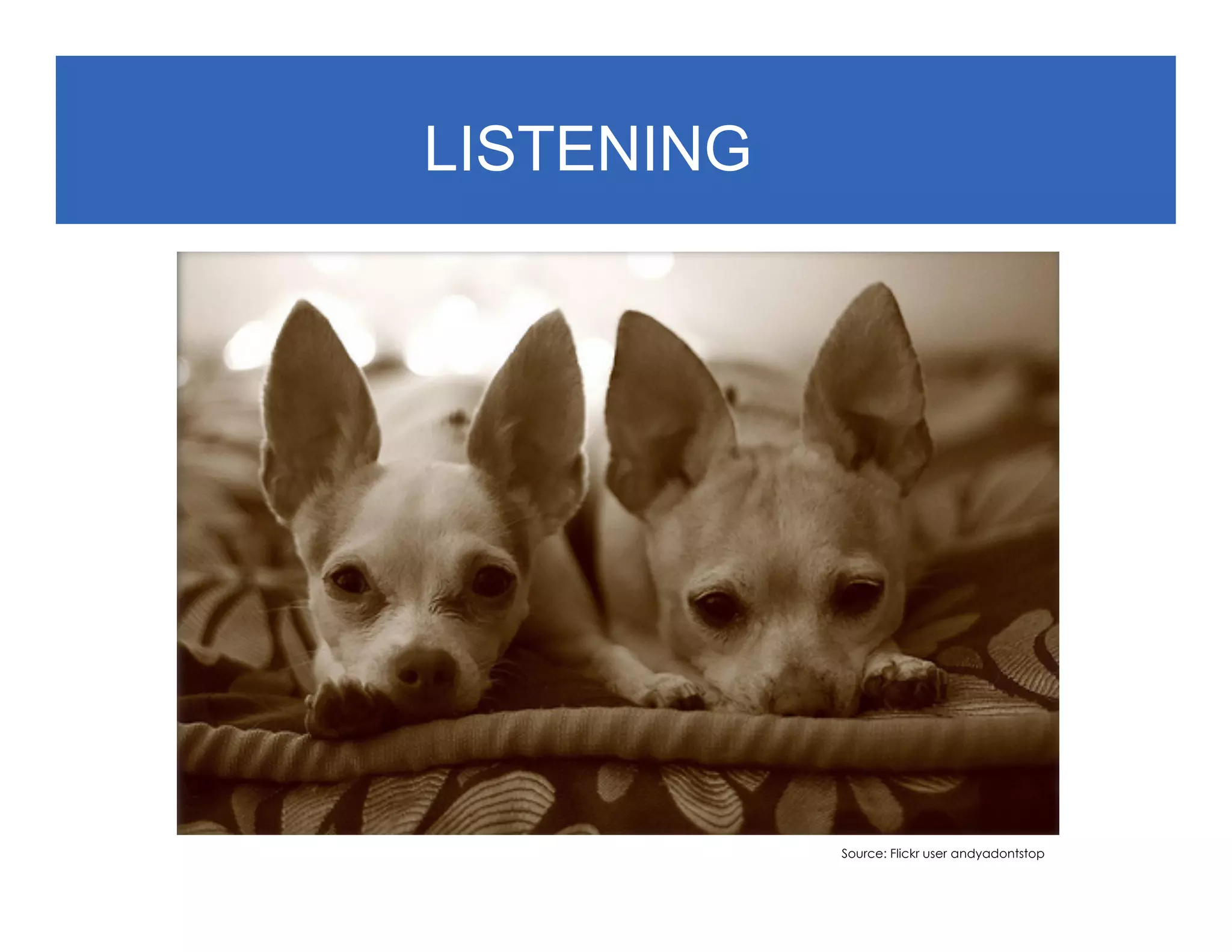 LISTENING




            Source: Flickr user andyadontstop
 