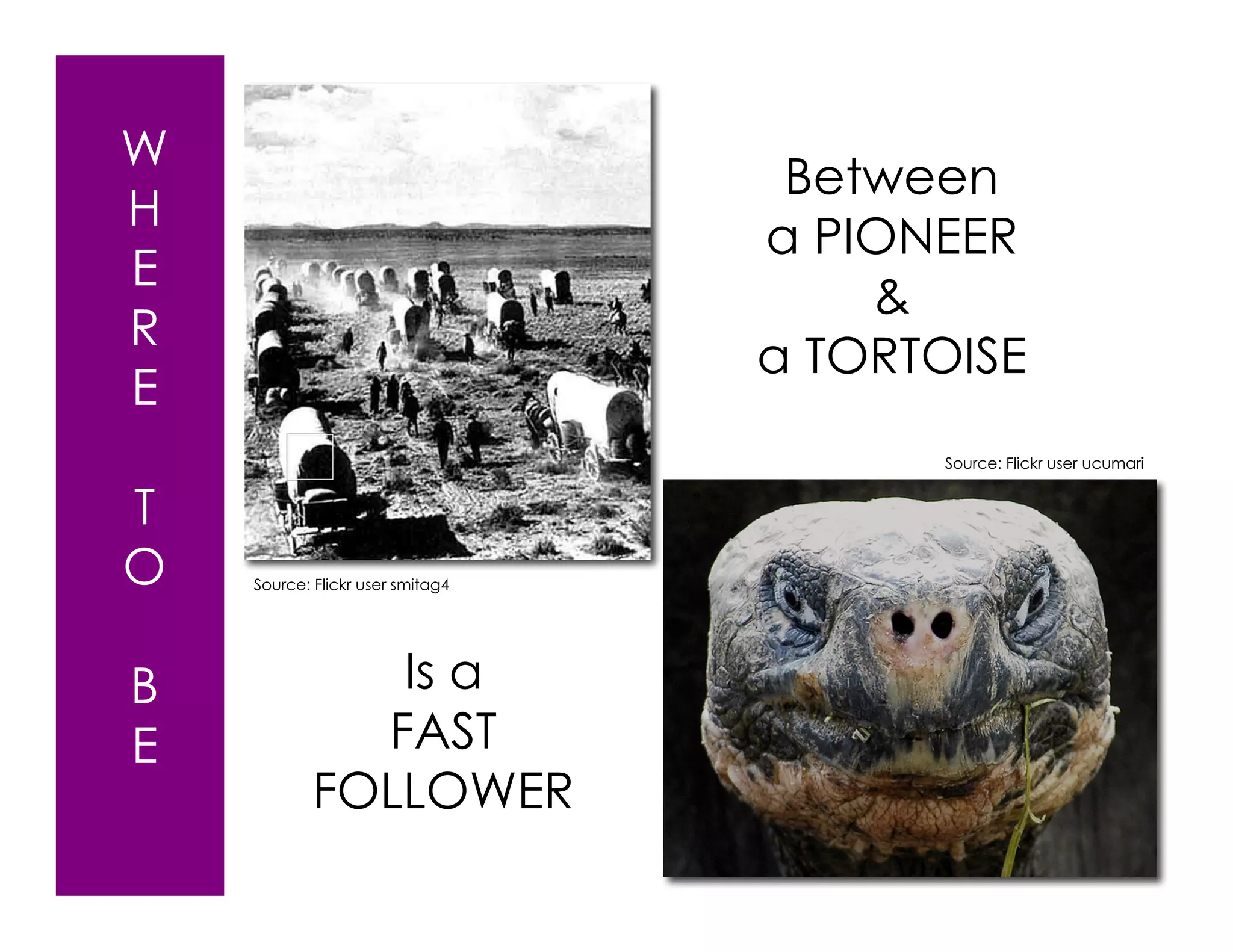 W
                                   Between
H
                                  a PIONEER
E
                                      &
R
                                  a TORTOISE
E
                                        Source: Flickr user ucumari


T
O   Source: Flickr user smitag4




B              Is a
E             FAST
            FOLLOWER
 