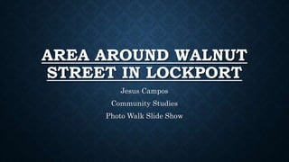 AREA AROUND WALNUT
STREET IN LOCKPORT
Jesus Campos
Community Studies
Photo Walk Slide Show
 