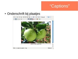 “Captions”
● Onderschrift bij plaatjes
 