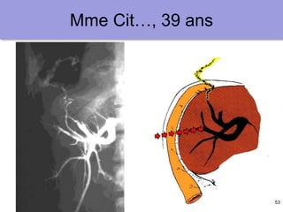 53
Mme Cit…, 39 ans
 