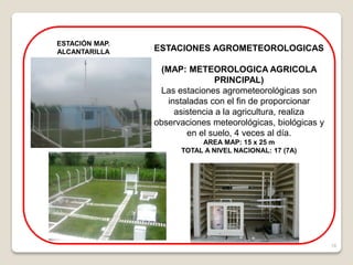 18
ESTACIÓN MAP.
ALCANTARILLA ESTACIONES AGROMETEOROLOGICAS
(MAP: METEOROLOGICA AGRICOLA
PRINCIPAL)
Las estaciones agrometeorológicas son
instaladas con el fin de proporcionar
asistencia a la agricultura, realiza
observaciones meteorológicas, biológicas y
en el suelo, 4 veces al día.
AREA MAP: 15 x 25 m
TOTAL A NIVEL NACIONAL: 17 (7A)
 