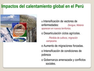 Impactos del calentamiento global en el Perú
o Intensificación de vectores de
enfermedades: Dengue, Malaria
aparecen en nuevos territorios.
o Desarticulación ciclos agrícolas.
Pérdida de cultivos, migración
campesina.
o Aumento de migraciones forzadas.
o Intensificación de condiciones de
pobreza
o Gobernanza amenazada y conflictos
sociales.
 