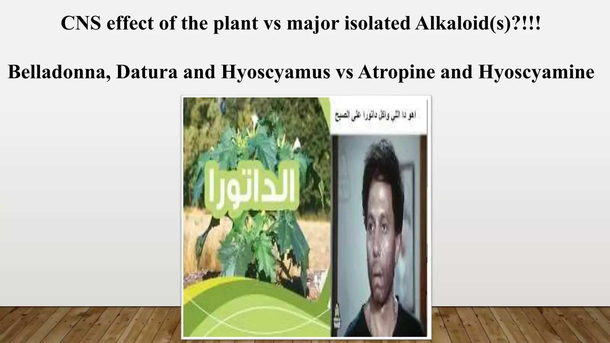 CNS effect of the plant vs major isolated Alkaloid(s)?!!!
Belladonna, Datura and Hyoscyamus vs Atropine and Hyoscyamine
 
