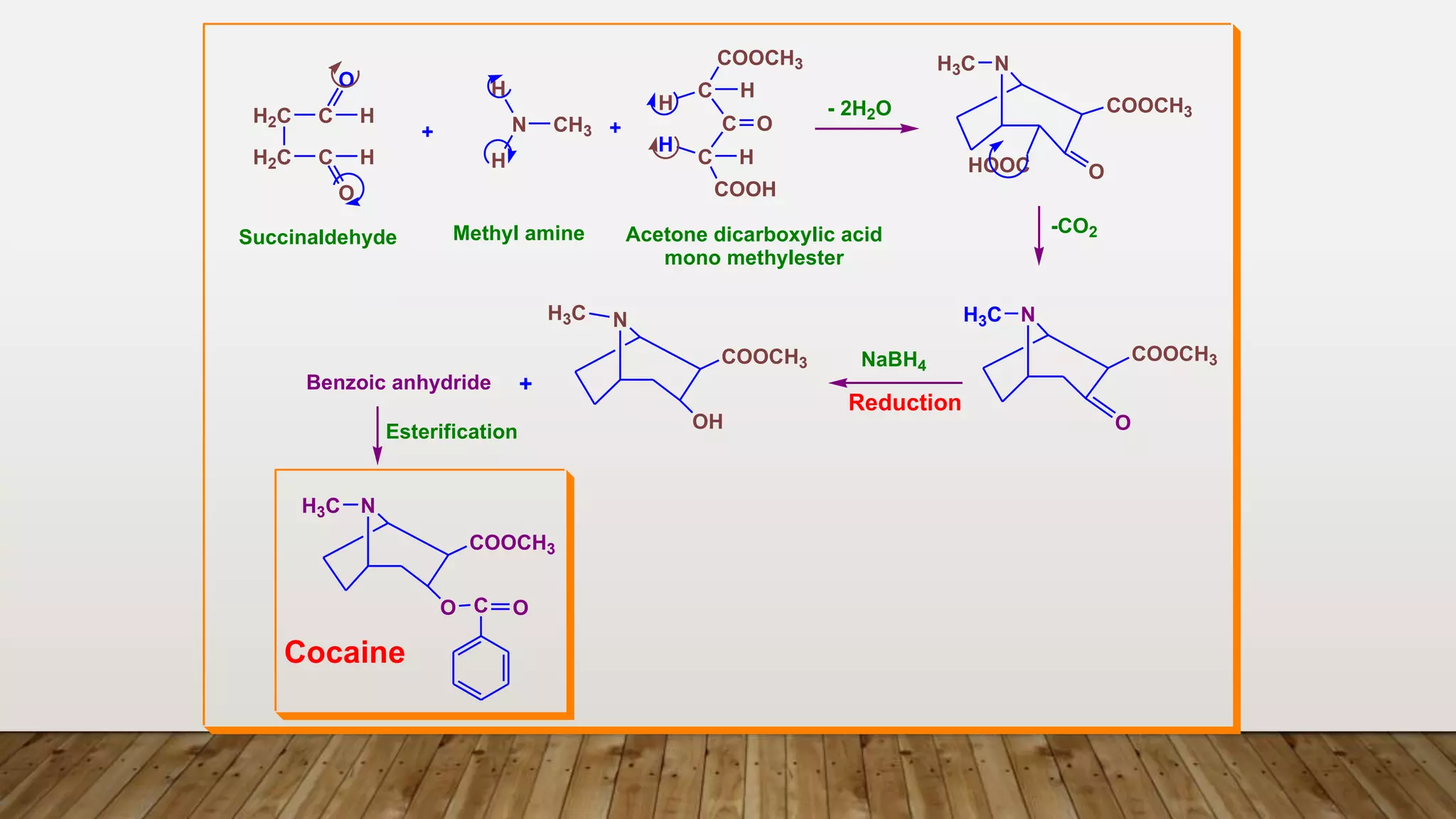 H2C
H2C C
C
O
O
H
H N CH3
H
H
H
H
C
C
C
COOCH3
H
COOH
H
N
H3C
COOCH3
HOOC O
N
H3C
O
N
H3C
OH
O
- 2H2O
NaBH4
COOCH3
COOCH3
N
H3C
O
COOCH3
C O
+ +
Benzoic anhydride +
Succinaldehyde Methyl amine Acetone dicarboxylic acid
mono methylester
Reduction
Esterification
Cocaine
-CO2
 