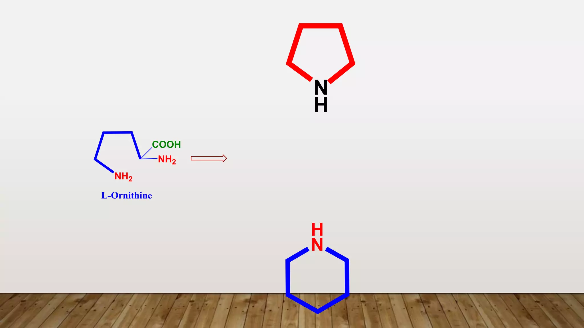 H
N
L-Ornithine
NH2
NH2
COOH
N
H
 