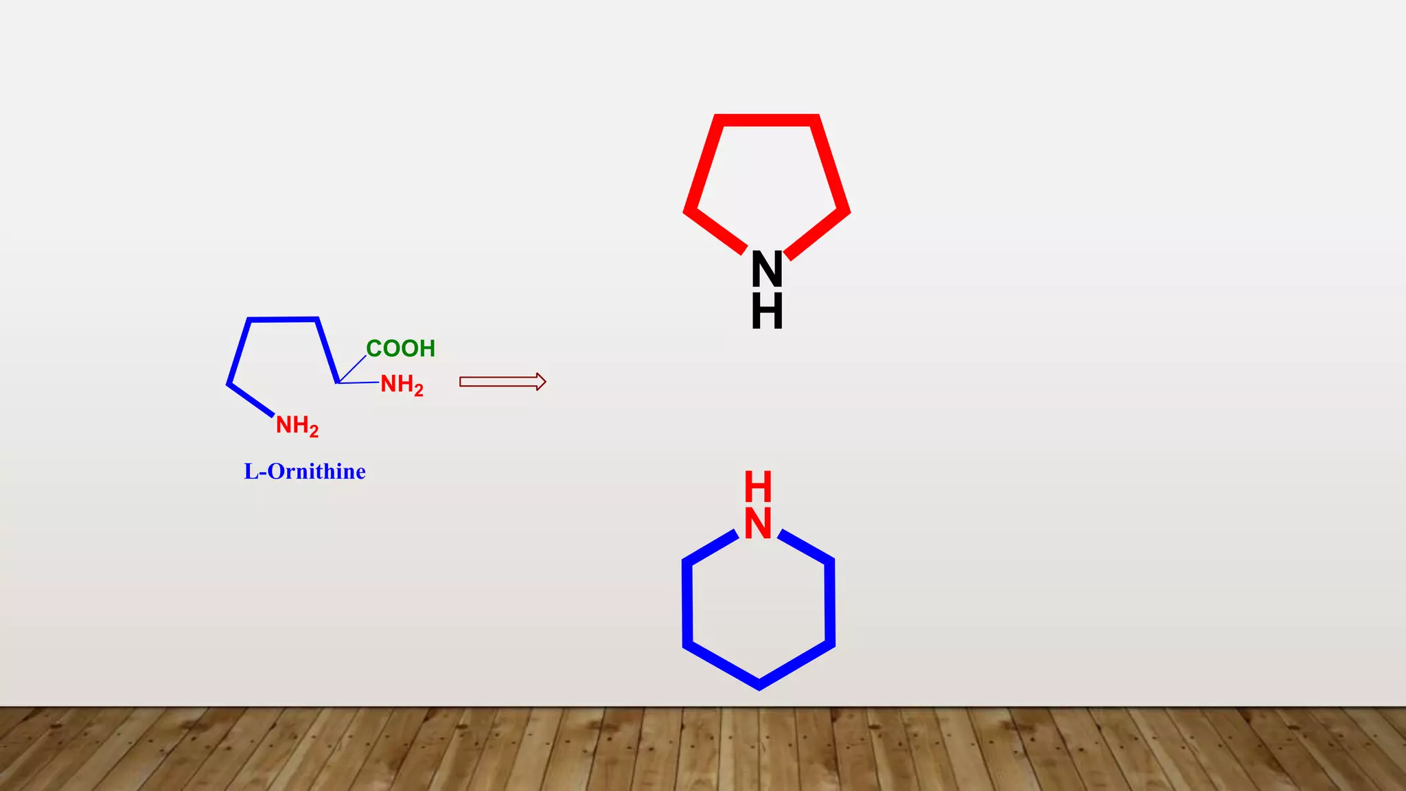 H
N
N
H
L-Ornithine
NH2
NH2
COOH
 